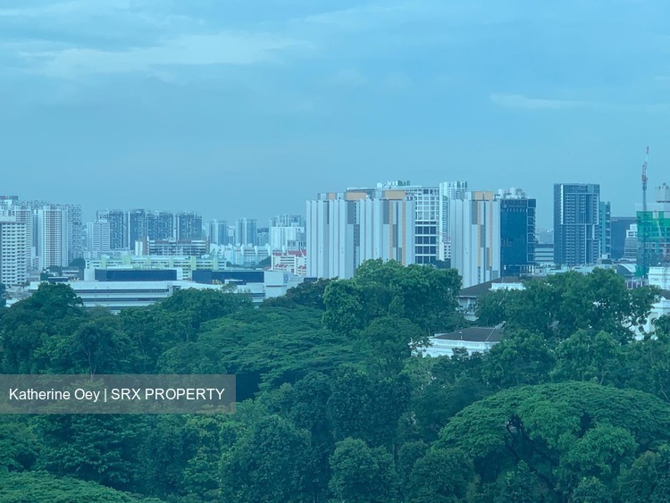Cairnhill Crest (D9), Condominium #205427201